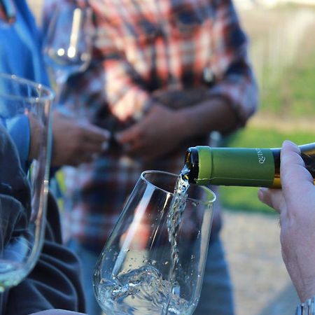 Quinta Pousada De Fora Wines & Tourism 吉马良斯 外观 照片