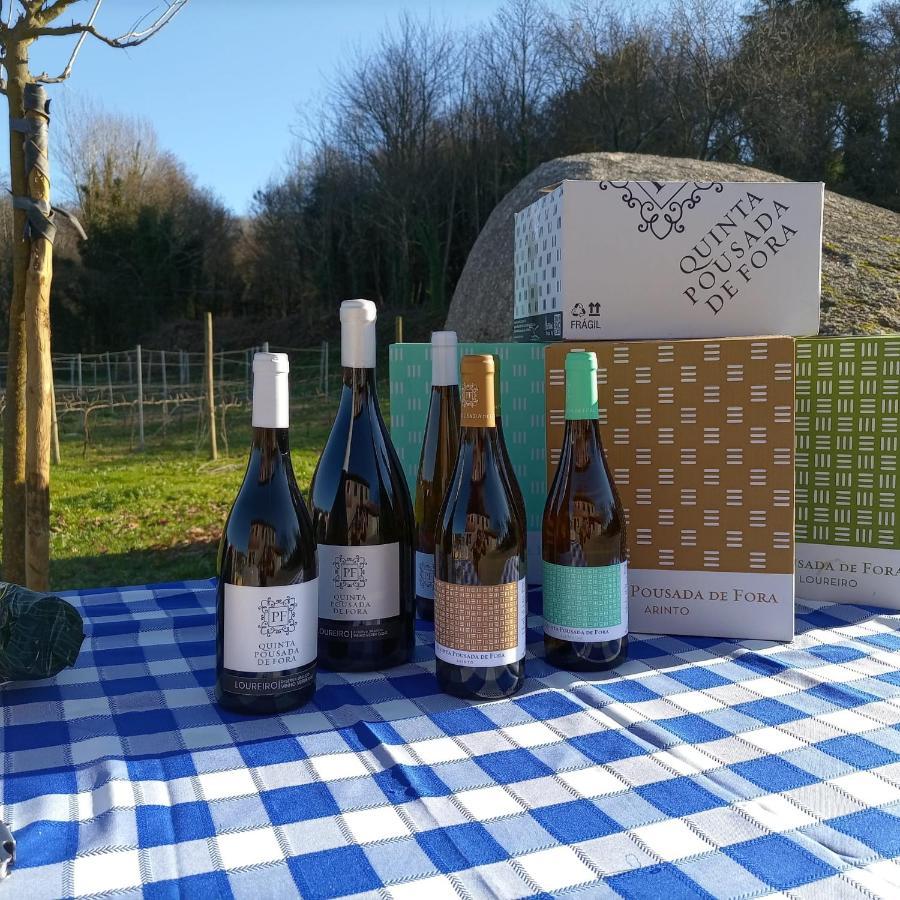 Quinta Pousada De Fora Wines & Tourism 吉马良斯 外观 照片