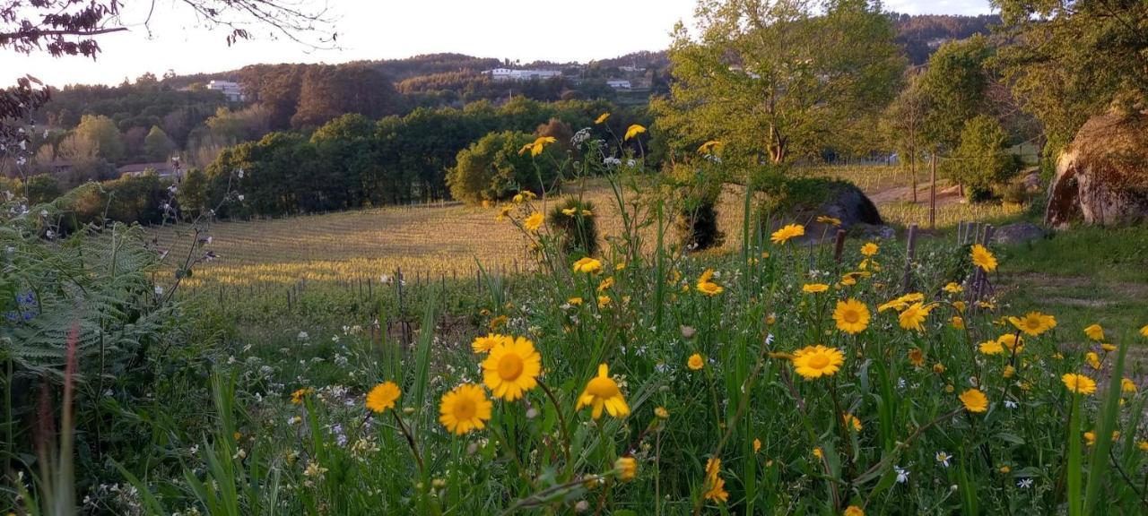 Quinta Pousada De Fora Wines & Tourism 吉马良斯 外观 照片