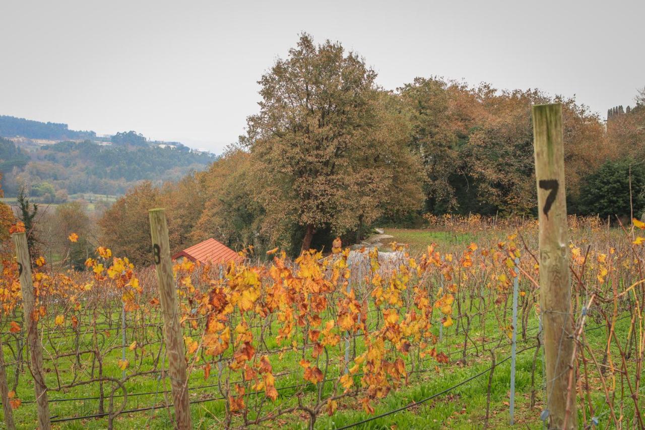 Quinta Pousada De Fora Wines & Tourism 吉马良斯 外观 照片