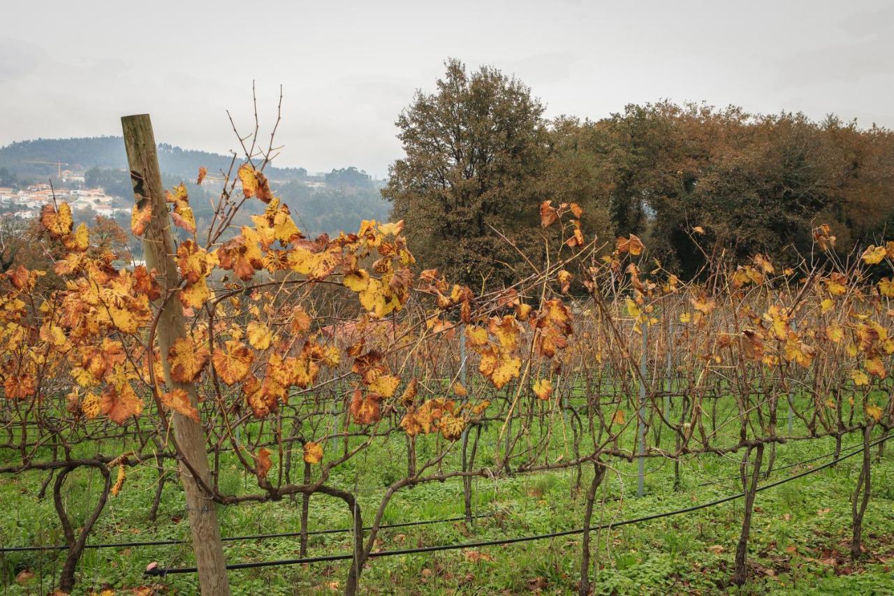 Quinta Pousada De Fora Wines & Tourism 吉马良斯 外观 照片