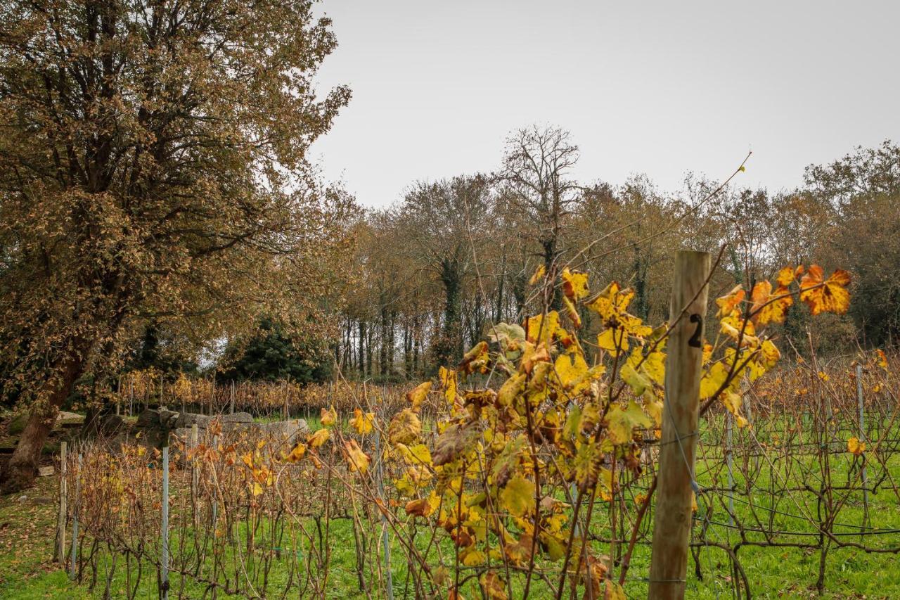 Quinta Pousada De Fora Wines & Tourism 吉马良斯 外观 照片