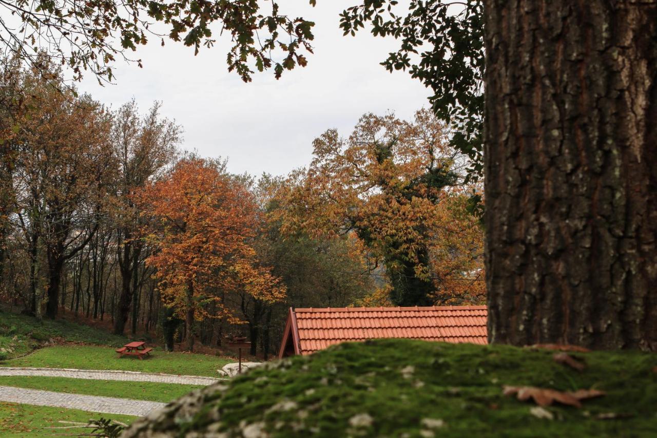 Quinta Pousada De Fora Wines & Tourism 吉马良斯 外观 照片