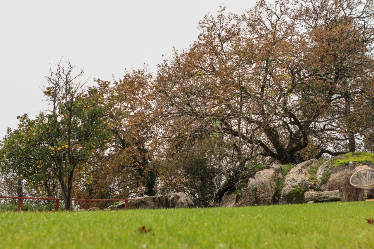 Quinta Pousada De Fora Wines & Tourism 吉马良斯 外观 照片