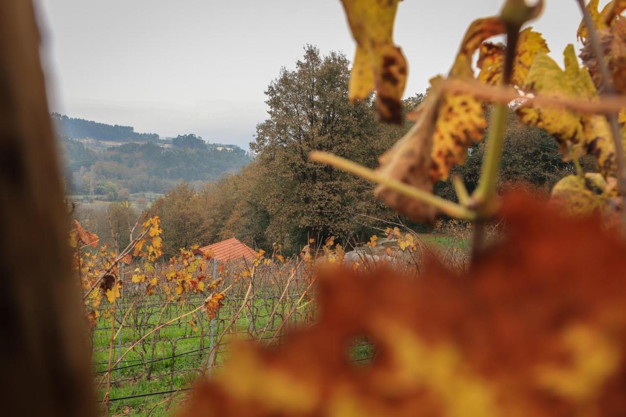 Quinta Pousada De Fora Wines & Tourism 吉马良斯 外观 照片