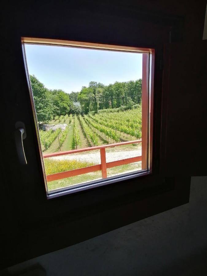 Quinta Pousada De Fora Wines & Tourism 吉马良斯 外观 照片