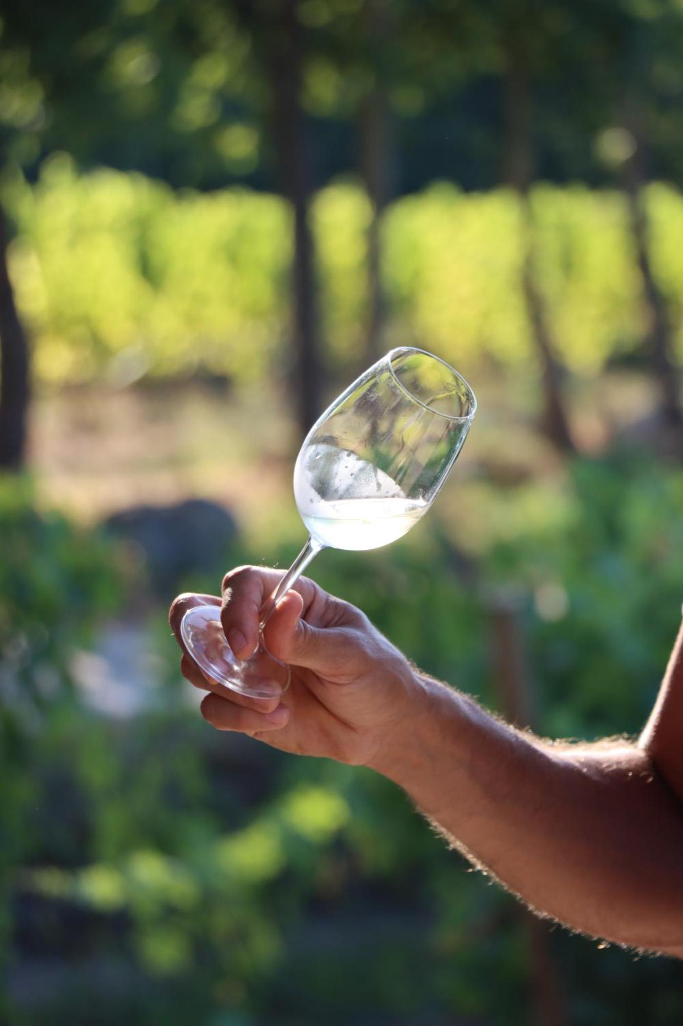 Quinta Pousada De Fora Wines & Tourism 吉马良斯 外观 照片