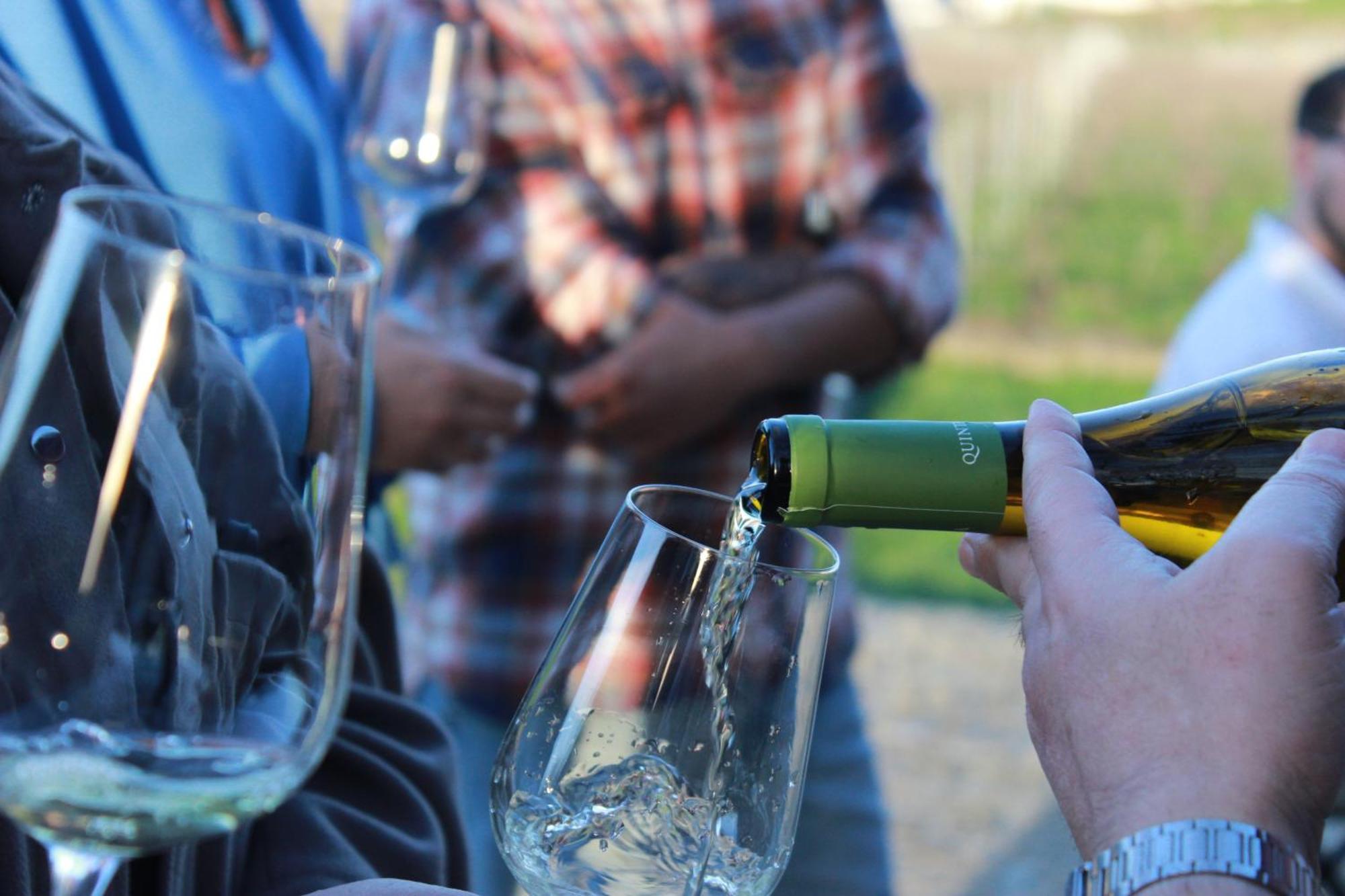 Quinta Pousada De Fora Wines & Tourism 吉马良斯 外观 照片